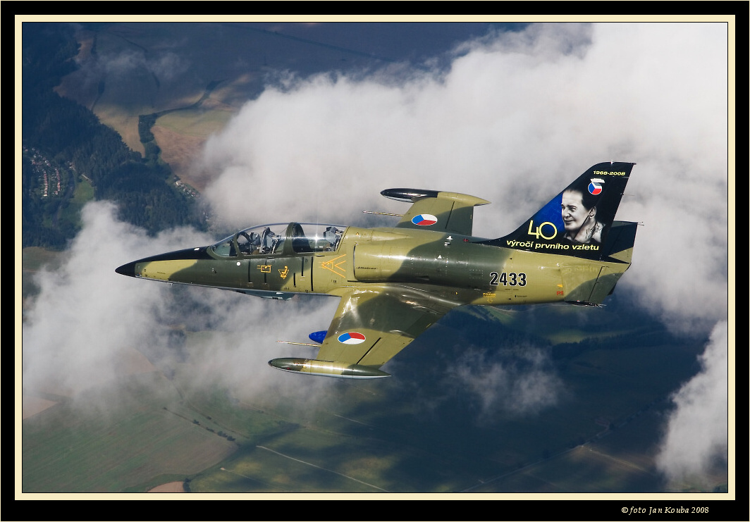 L 39ZA Albatros 009.jpg