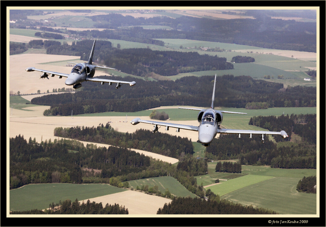 ALCA & GRIPEN 001.jpg