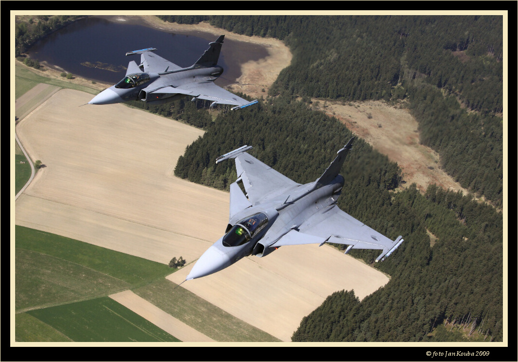 ALCA & GRIPEN 006.jpg