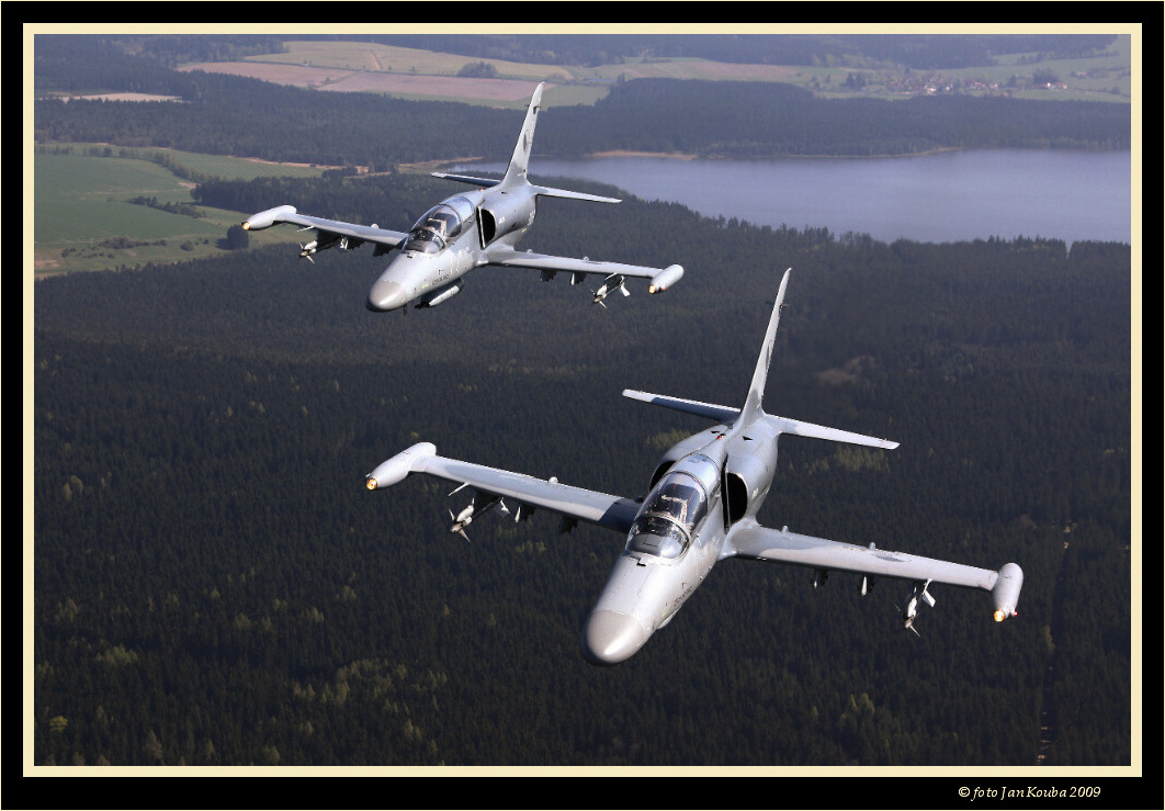 ALCA & GRIPEN 013.jpg