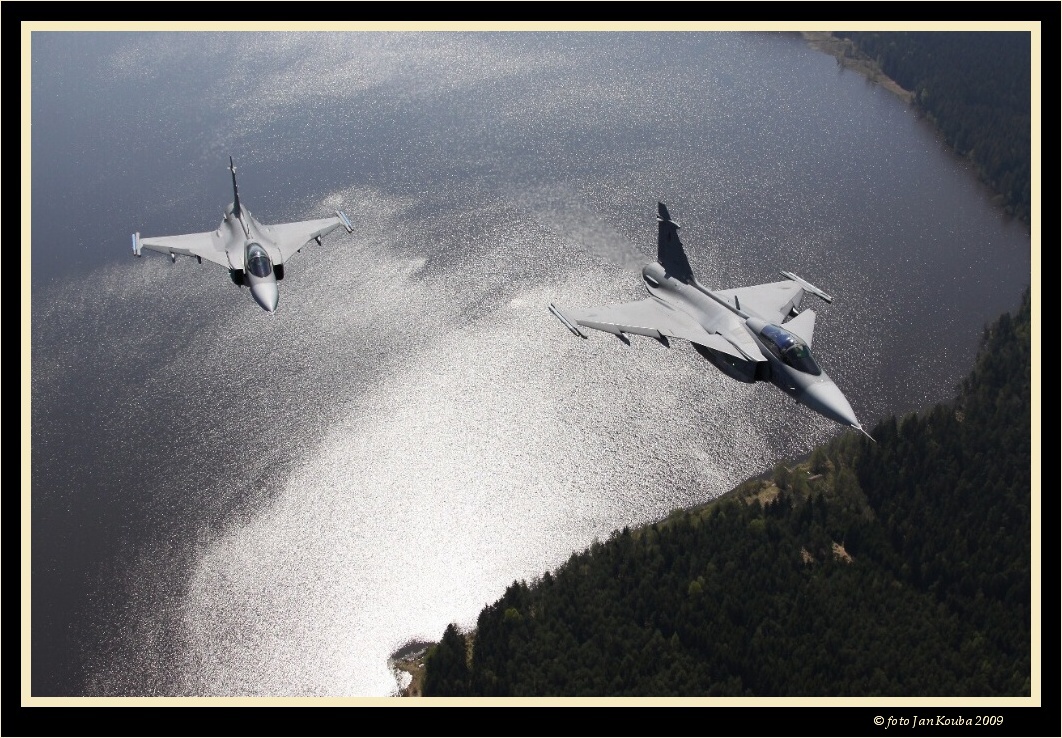 ALCA & GRIPEN 014.jpg