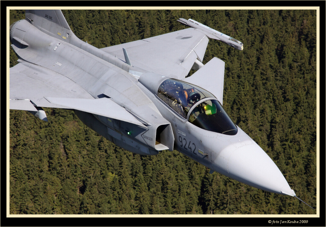 ALCA & GRIPEN 016.jpg