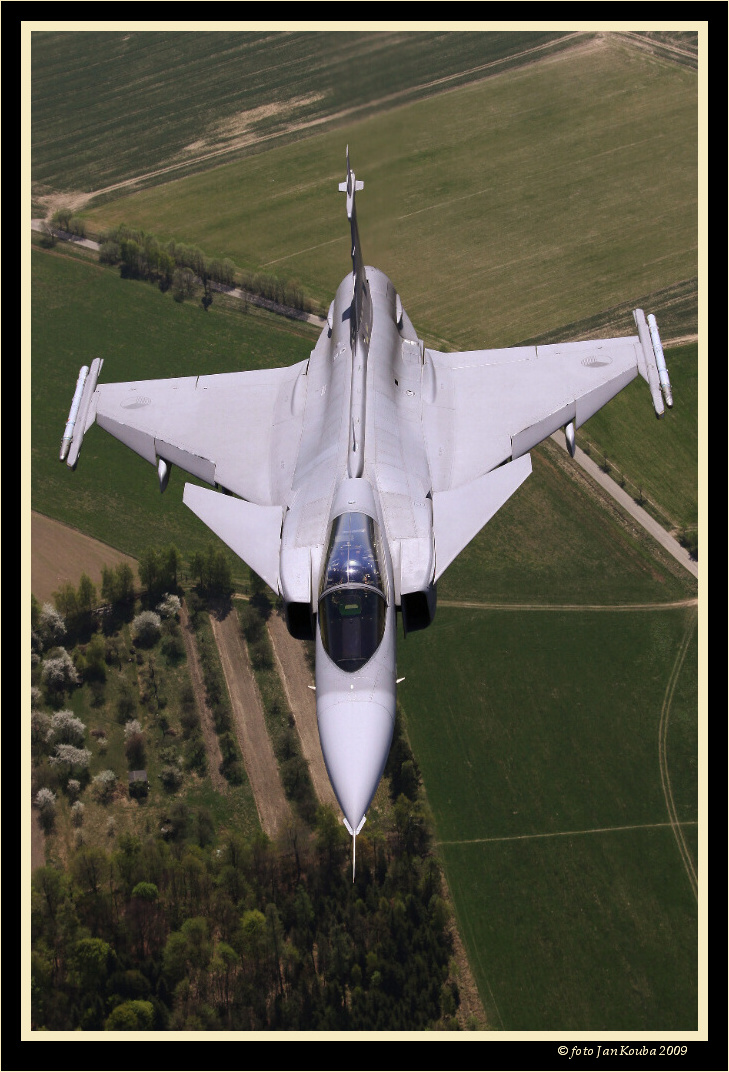 ALCA & GRIPEN 020.jpg