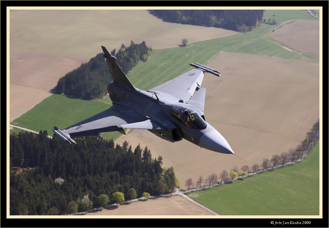 ALCA & GRIPEN 022.jpg