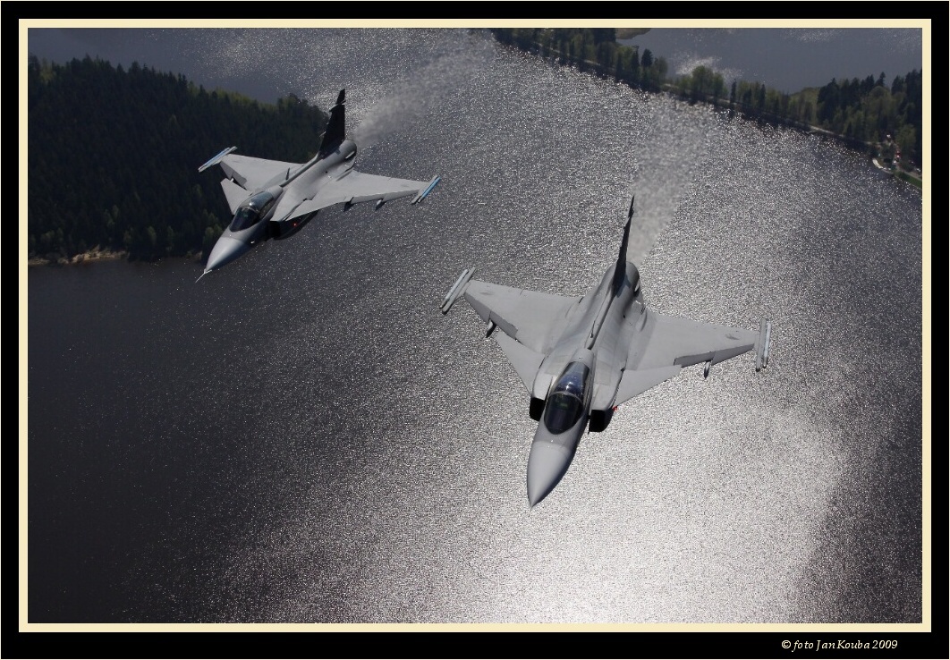 ALCA & GRIPEN 026.jpg