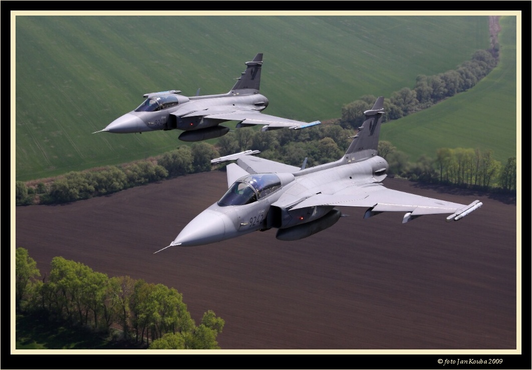 ALCA & GRIPEN 030.jpg