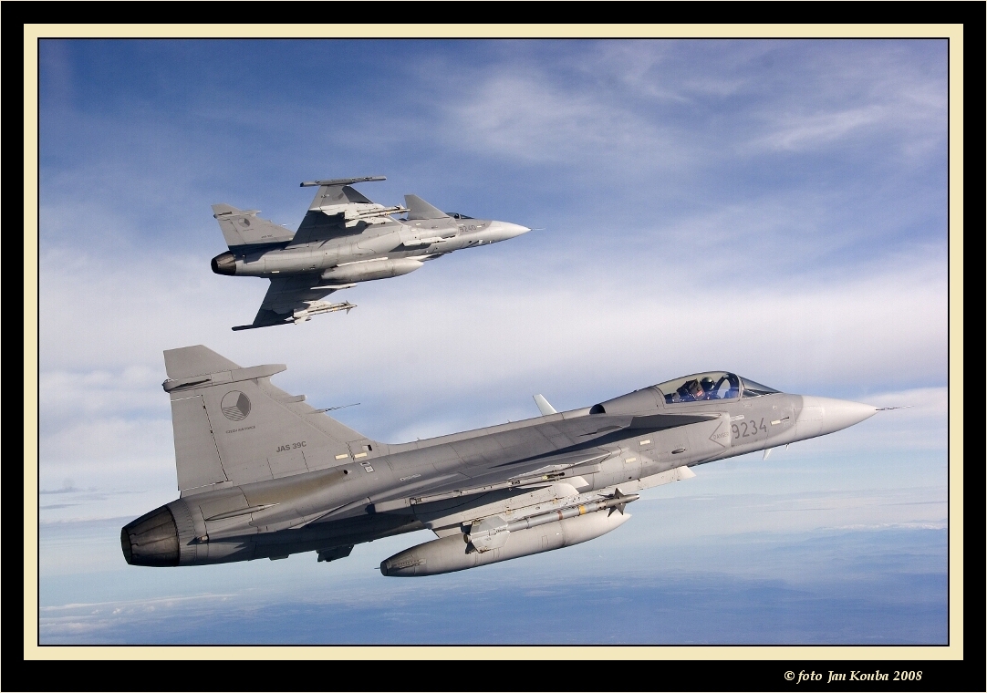 JAS 39 GRIPEN 01.jpg