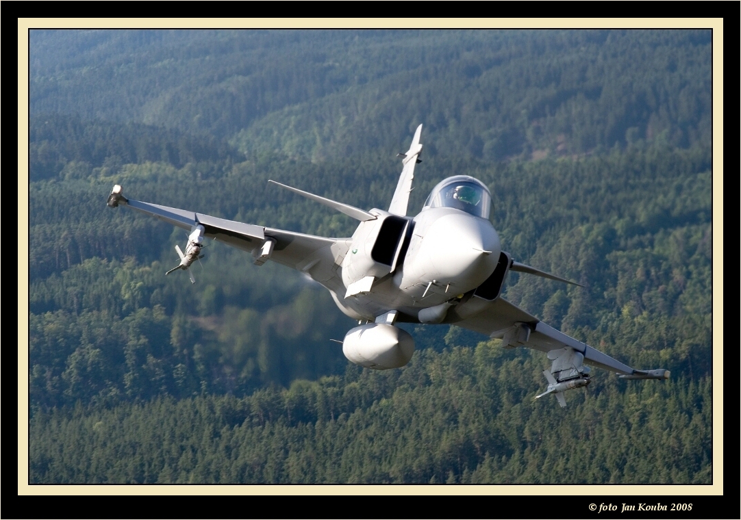 JAS 39 GRIPEN 02.jpg