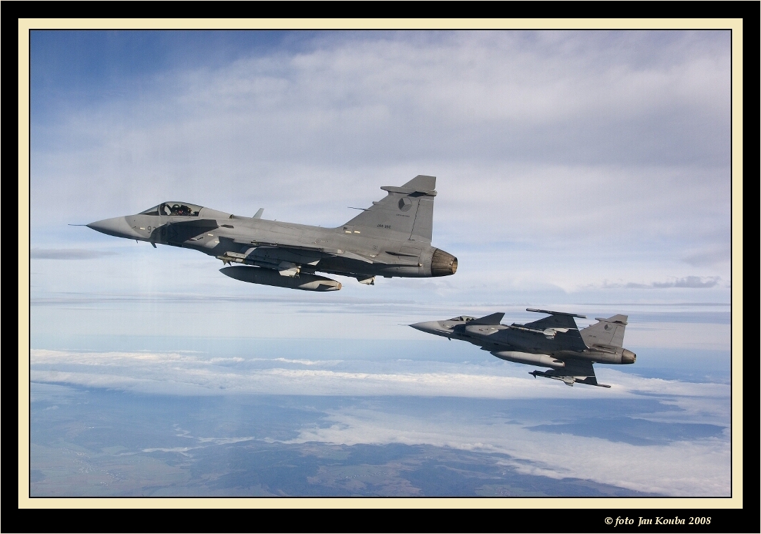 JAS 39 GRIPEN 06.jpg