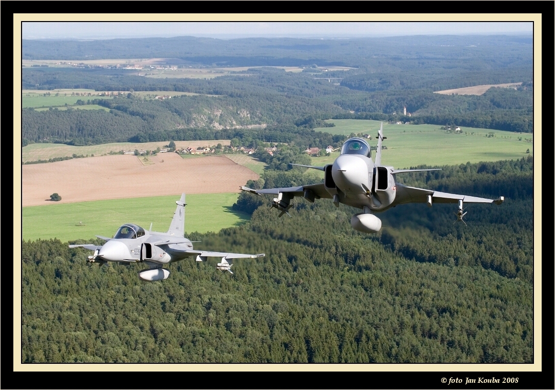 JAS 39 GRIPEN 07.jpg