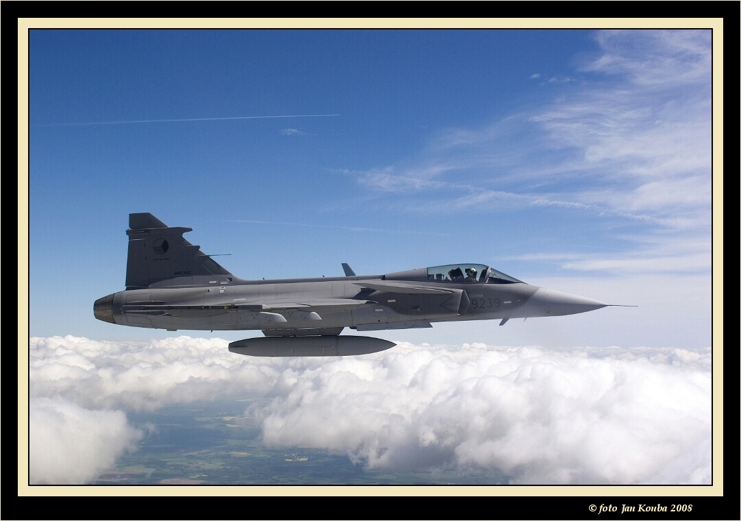 JAS 39 GRIPEN 08.jpg