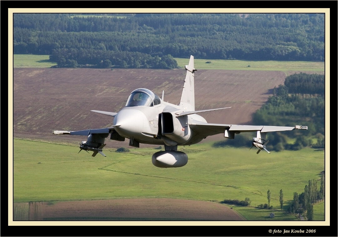 JAS 39 GRIPEN 12.jpg