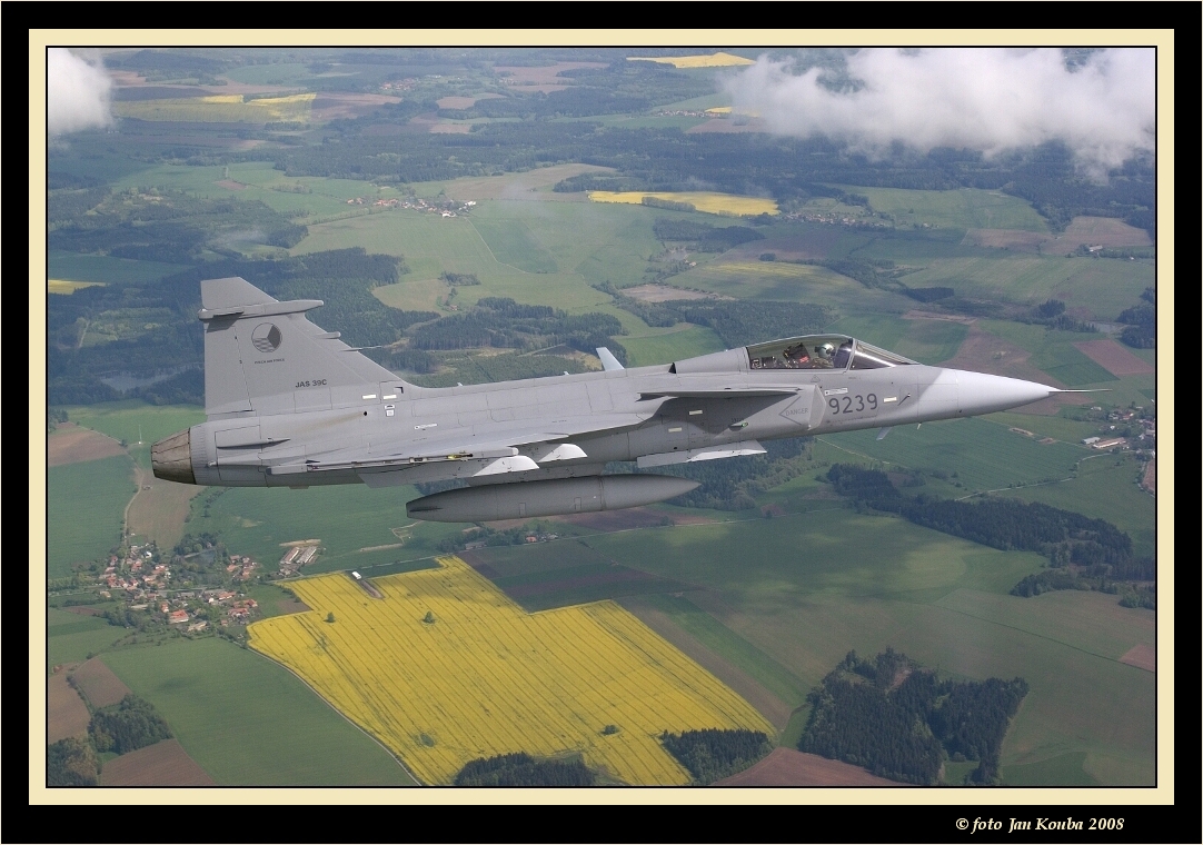 JAS 39 GRIPEN 18.jpg