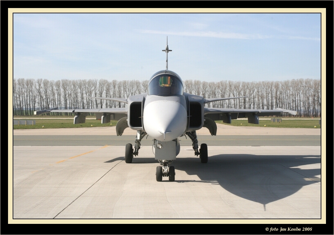 JAS 39 GRIPEN 20.jpg