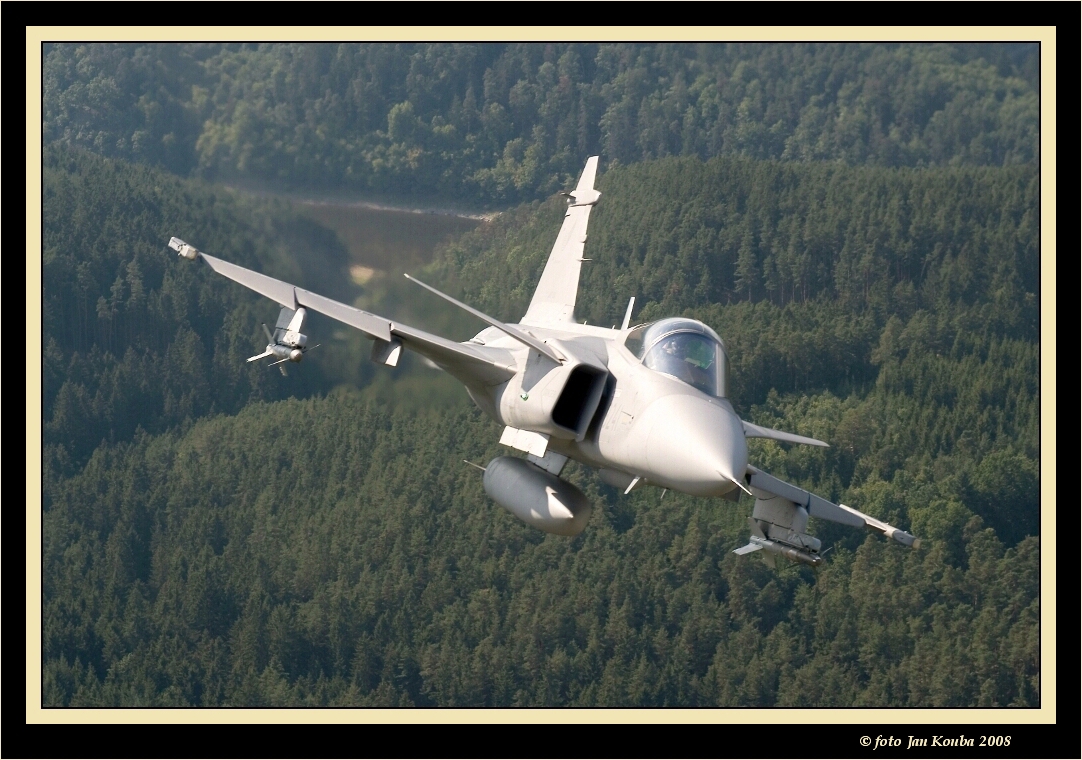 JAS 39 GRIPEN 21.jpg