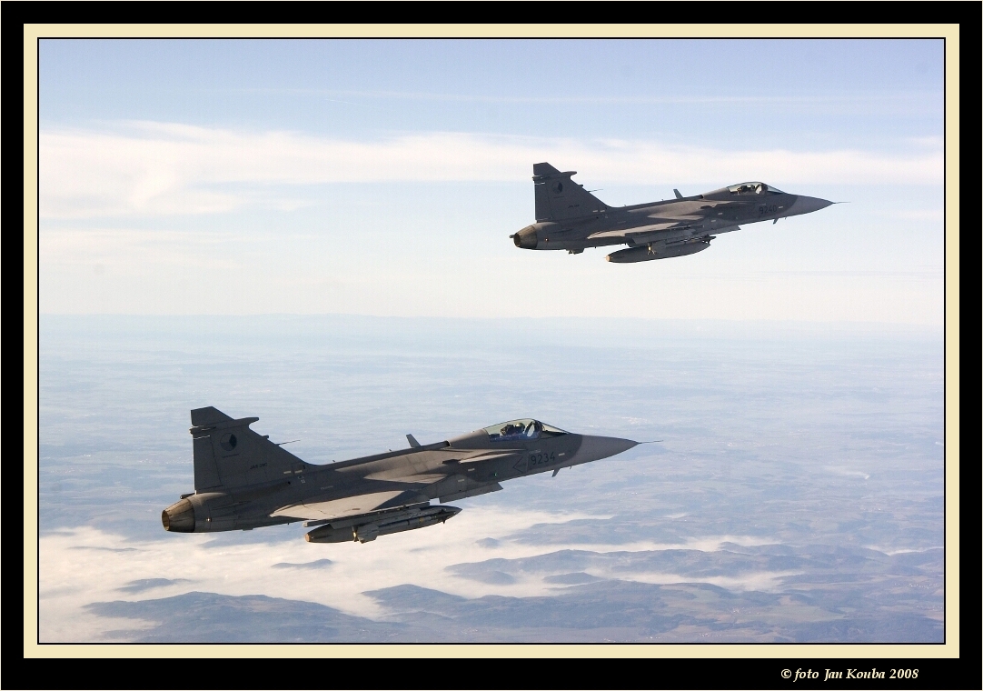 JAS 39 GRIPEN 23.jpg