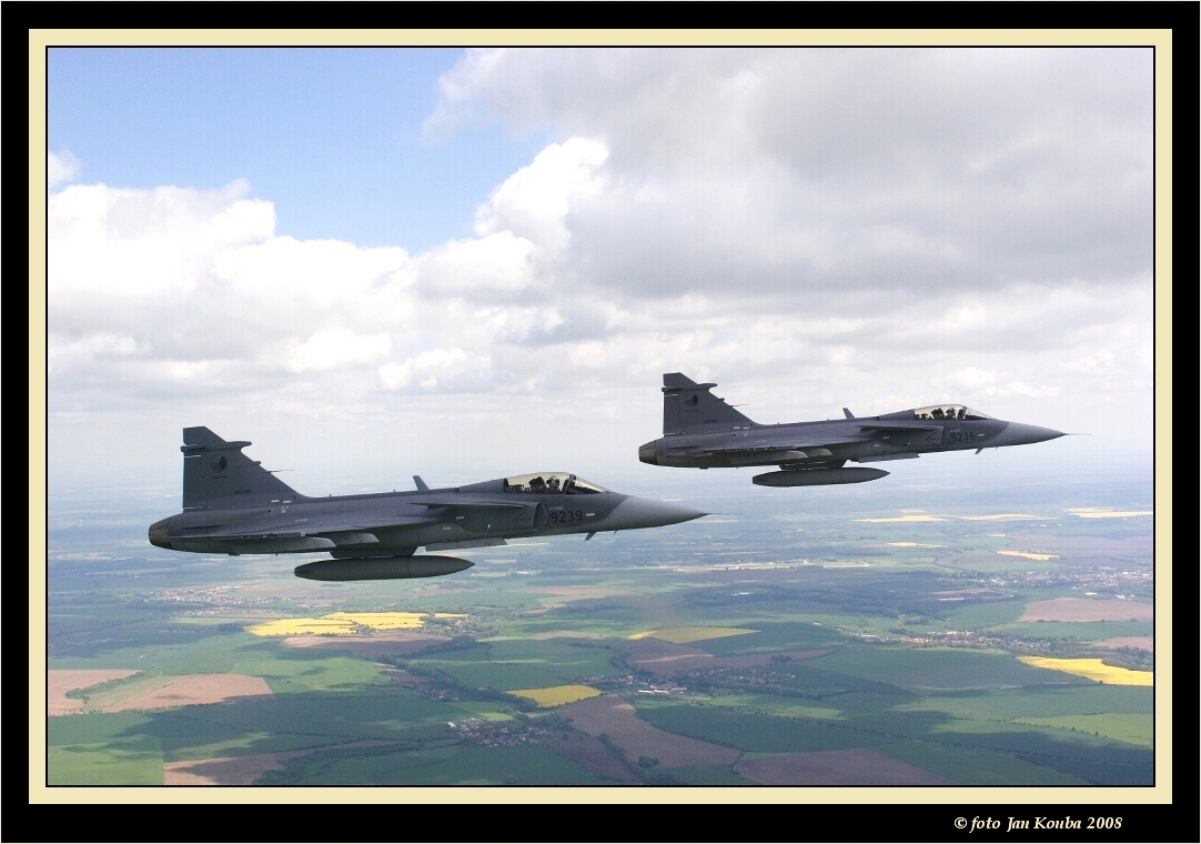 JAS 39 GRIPEN 25.jpg