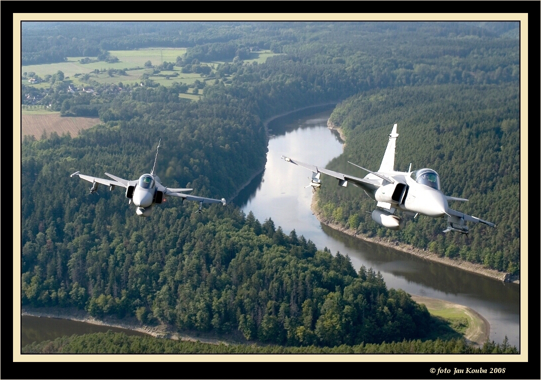 JAS 39 GRIPEN 29.jpg